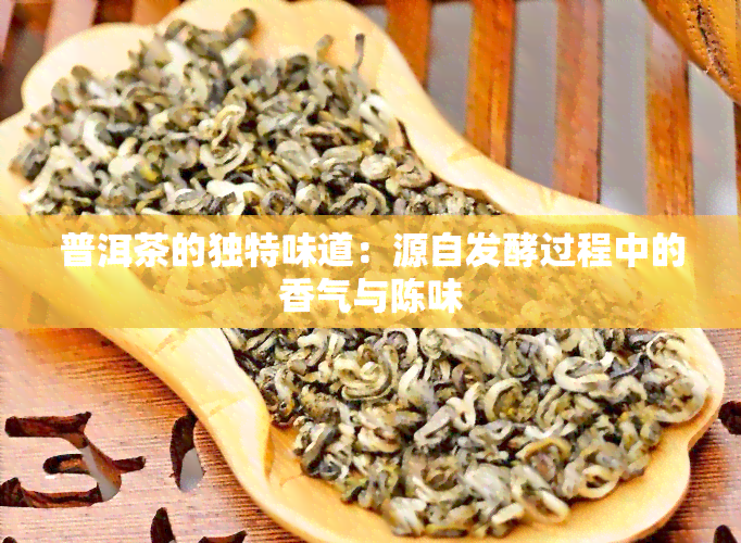 普洱茶的独特味道：源自发酵过程中的香气与陈味