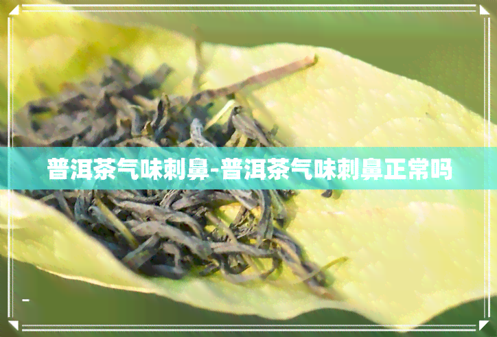 普洱茶气味刺鼻-普洱茶气味刺鼻正常吗