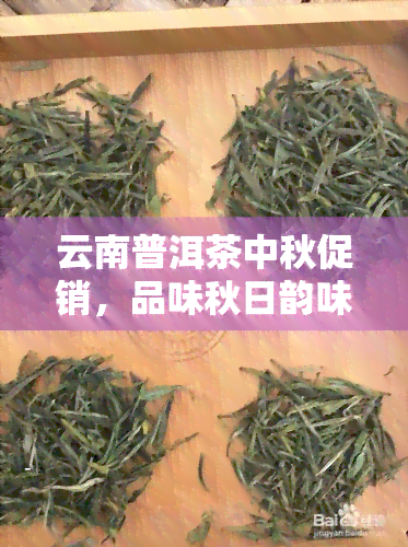 云南普洱茶中秋促销，品味秋日韵味，云南普洱茶中秋促销大放送！