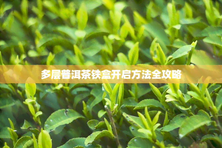 多层普洱茶铁盒开启方法全攻略