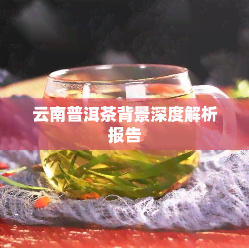 云南普洱茶背景深度解析报告