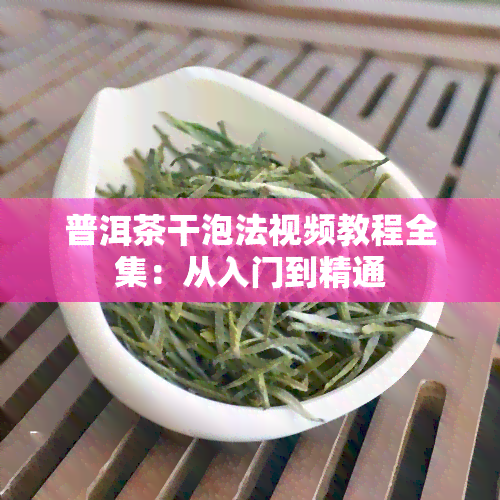 普洱茶干泡法视频教程全集：从入门到精通