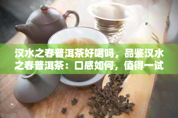 汉水之春普洱茶好喝吗，品鉴汉水之春普洱茶：口感如何，值得一试吗？