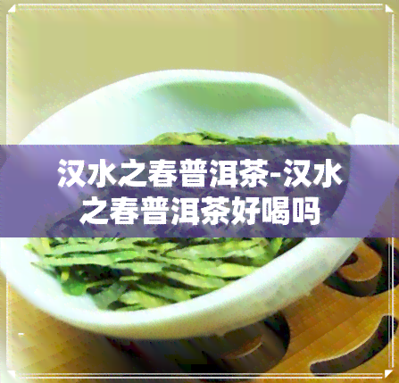 汉水之春普洱茶-汉水之春普洱茶好喝吗