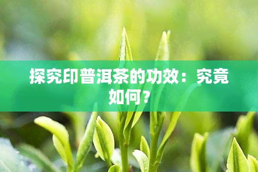 探究印普洱茶的功效：究竟如何？