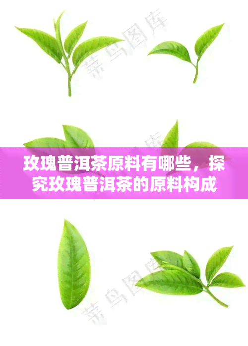 玫瑰普洱茶原料有哪些，探究玫瑰普洱茶的原料构成