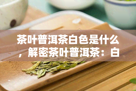 茶叶普洱茶白色是什么，解密茶叶普洱茶：白色品种的奥秘与特点