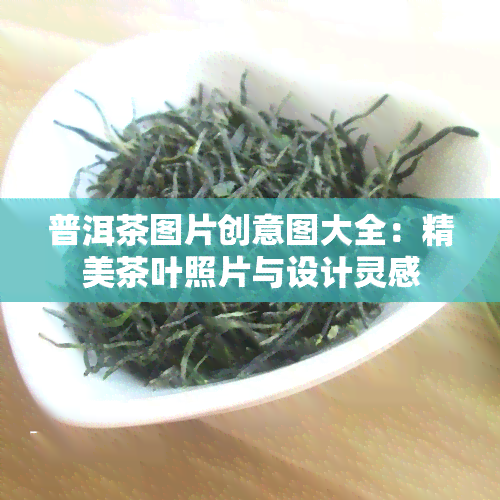 普洱茶图片创意图大全：精美茶叶照片与设计灵感