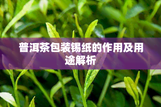 普洱茶包装锡纸的作用及用途解析