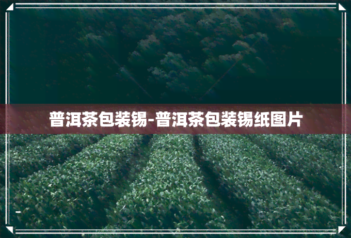 普洱茶包装锡-普洱茶包装锡纸图片