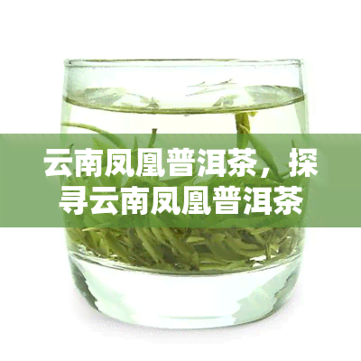 云南凤凰普洱茶，探寻云南凤凰普洱茶的独特魅力