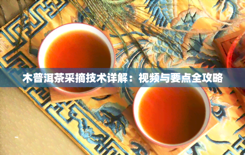 木普洱茶采摘技术详解：视频与要点全攻略