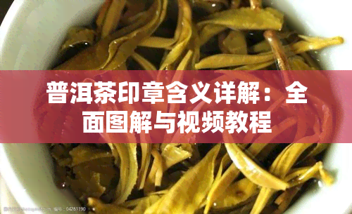 普洱茶印章含义详解：全面图解与视频教程