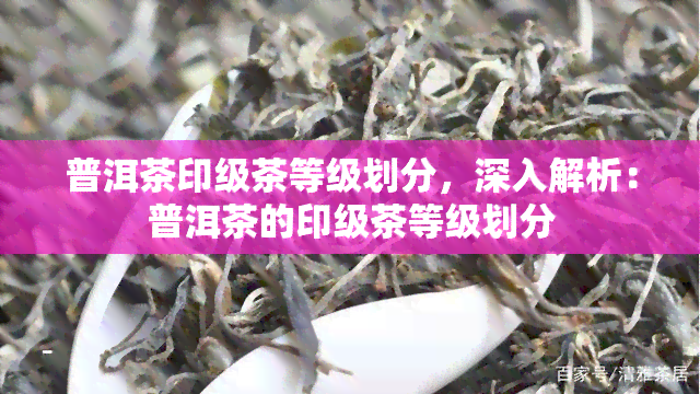 普洱茶印级茶等级划分，深入解析：普洱茶的印级茶等级划分