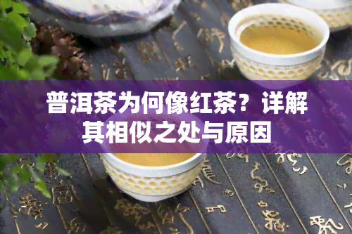 普洱茶为何像红茶？详解其相似之处与原因