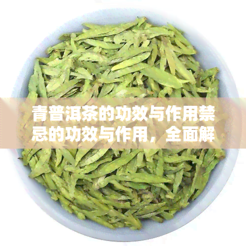 青普洱茶的功效与作用禁忌的功效与作用，全面解析：青普洱茶的功效、作用及使用禁忌