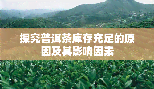 探究普洱茶库存充足的原因及其影响因素