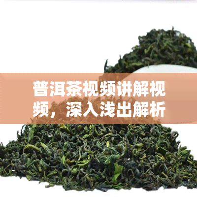 普洱茶视频讲解视频，深入浅出解析普洱茶：视频讲解版