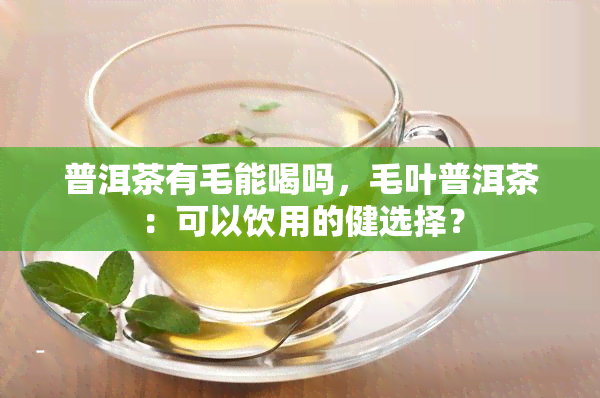 普洱茶有毛能喝吗，毛叶普洱茶：可以饮用的健选择？