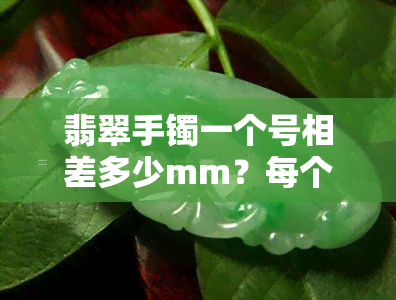 翡翠手镯一个号相差多少mm？每个号之间的差距与平均重量解析