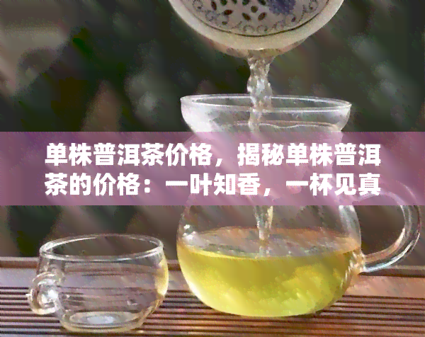 单株普洱茶价格，揭秘单株普洱茶的价格：一叶知香，一杯见真章