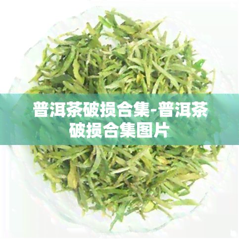 普洱茶破损合集-普洱茶破损合集图片