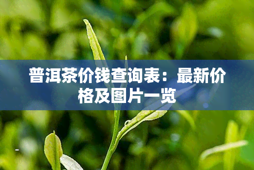 普洱茶价钱查询表：最新价格及图片一览