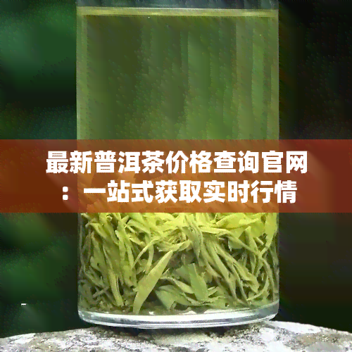 最新普洱茶价格查询官网：一站式获取实时行情