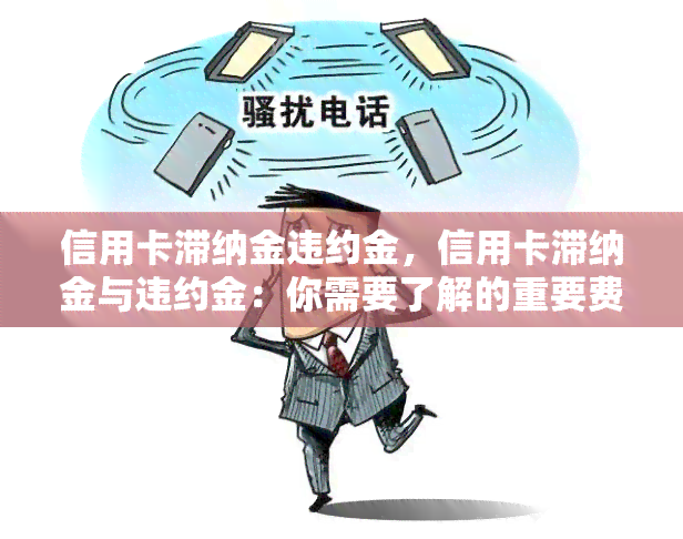 信用卡滞纳金违约金，信用卡滞纳金与违约金：你需要了解的重要费用