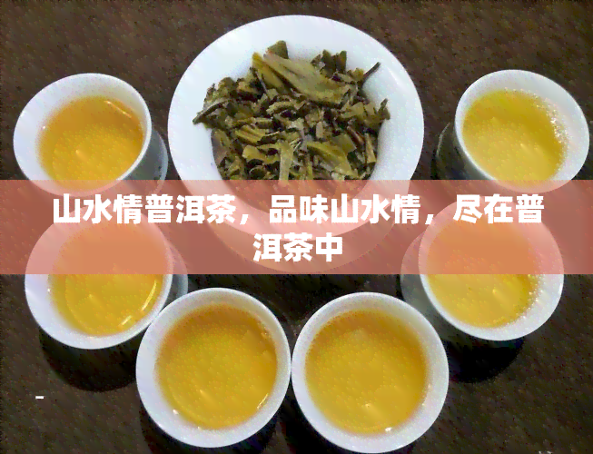 山水情普洱茶，品味山水情，尽在普洱茶中