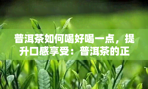 普洱茶如何喝好喝一点，提升口感享受：普洱茶的正确泡饮方法