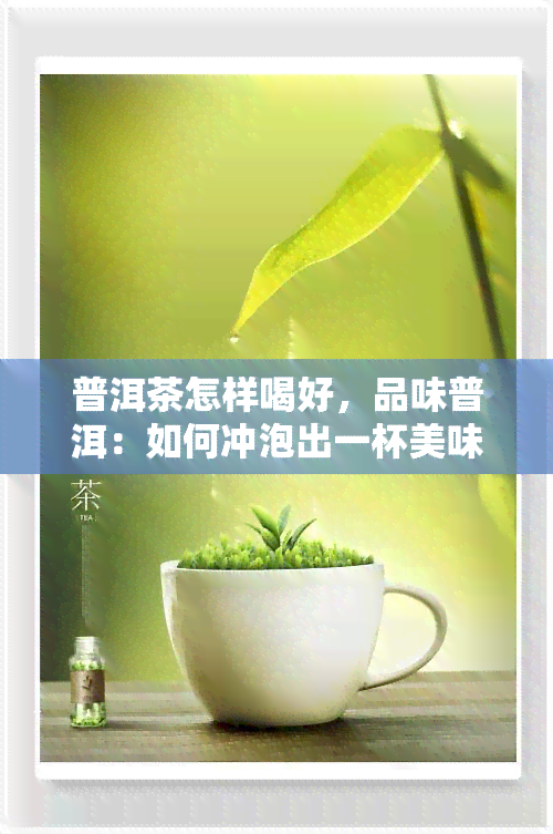 普洱茶怎样喝好，品味普洱：如何冲泡出一杯美味的普洱茶？