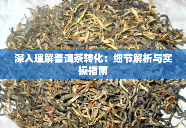 深入理解普洱茶转化：细节解析与实操指南