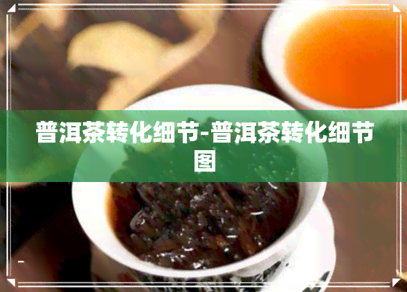 普洱茶转化细节-普洱茶转化细节图