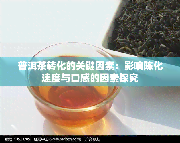 普洱茶转化的关键因素：影响陈化速度与口感的因素探究