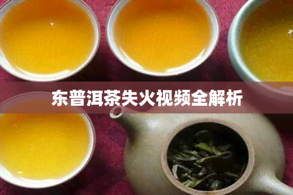 东普洱茶失火视频全解析