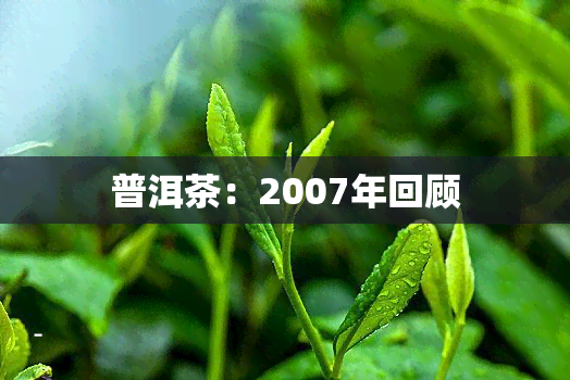 普洱茶：2007年回顾