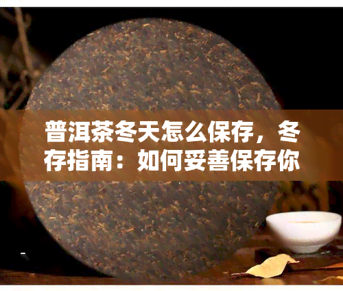 普洱茶冬天怎么保存，冬存指南：如何妥善保存你的普洱茶？