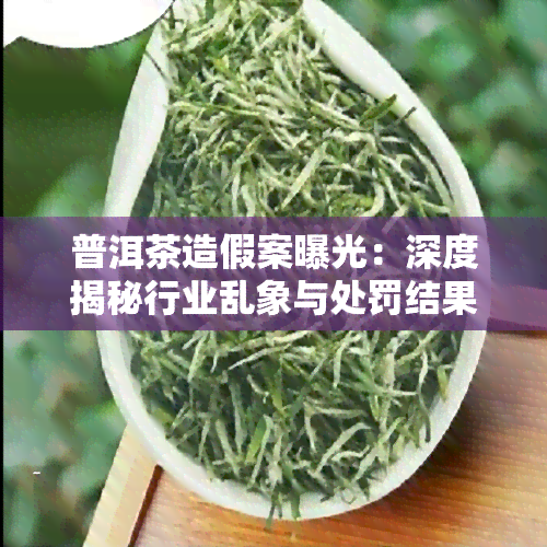 普洱茶造假案曝光：深度揭秘行业乱象与处罚结果