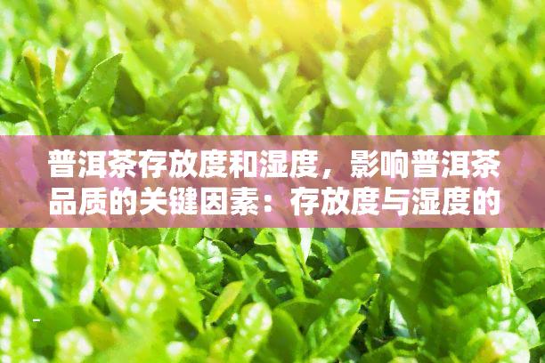 普洱茶存放度和湿度，影响普洱茶品质的关键因素：存放度与湿度的掌控