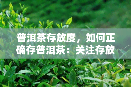 普洱茶存放度，如何正确存普洱茶：关注存放度的重要性