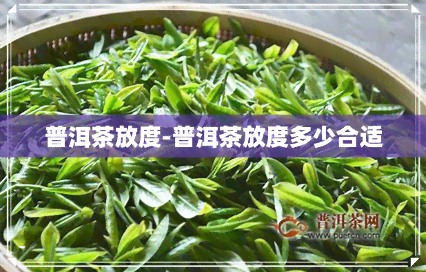 普洱茶放度-普洱茶放度多少合适