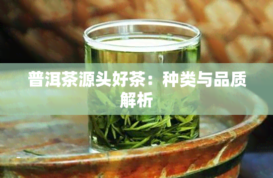 普洱茶源头好茶：种类与品质解析