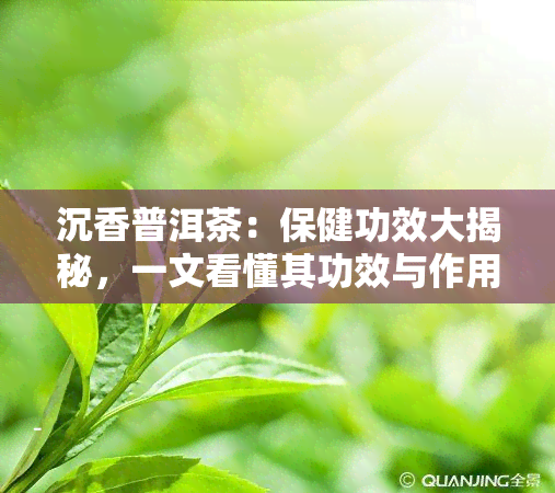 沉香普洱茶：保健功效大揭秘，一文看懂其功效与作用