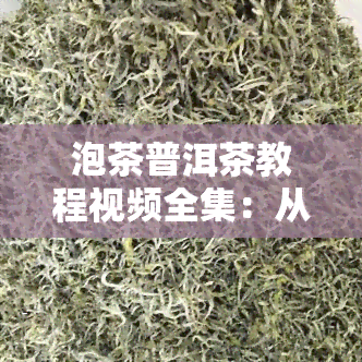 泡茶普洱茶教程视频全集：从基础到进阶，一应俱全！