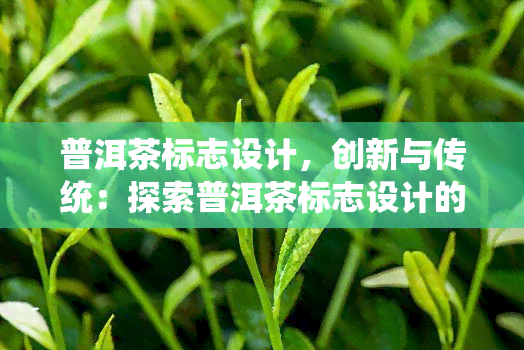 普洱茶标志设计，创新与传统：探索普洱茶标志设计的艺术与文化价值