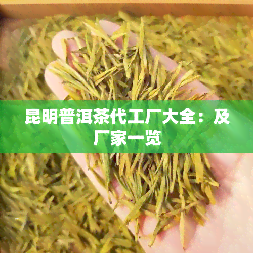 昆明普洱茶代工厂大全：及厂家一览