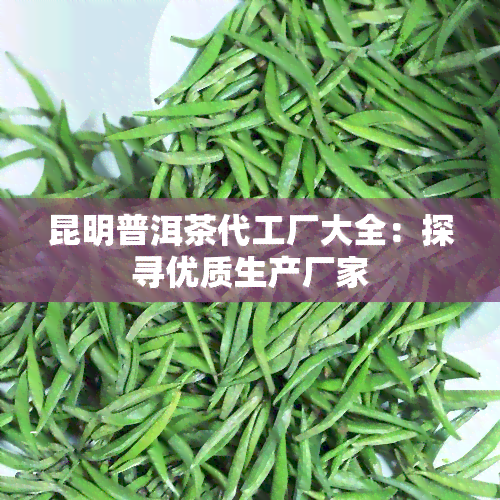 昆明普洱茶代工厂大全：探寻优质生产厂家