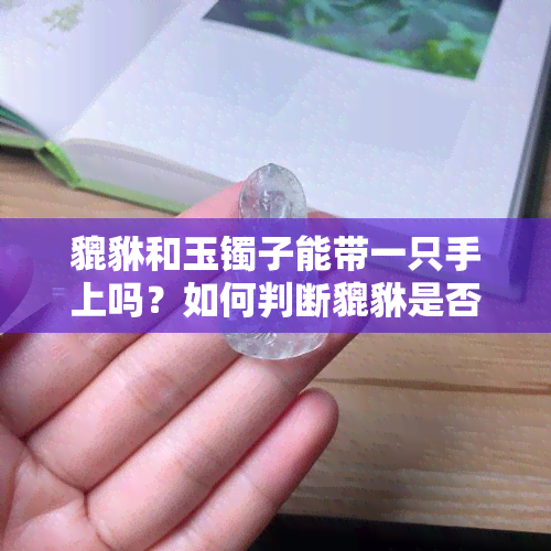 貔貅和玉镯子能带一只手上吗？如何判断貔貅是否认主？附上相关图片