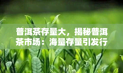 普洱茶存量大，揭秘普洱茶市场：海量存量引发行业关注